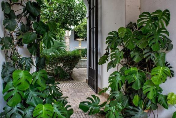 Apartamento En Un Dormitorio En Plaza Alfaro Севиля Екстериор снимка